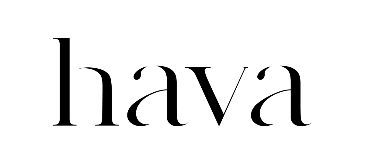 Construcción del logotipo HAVA